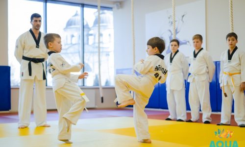 Aquaterra Sport School экзамен по тхэквандо