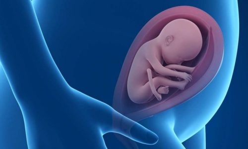 Alfa Diagnostica CentoNIPT