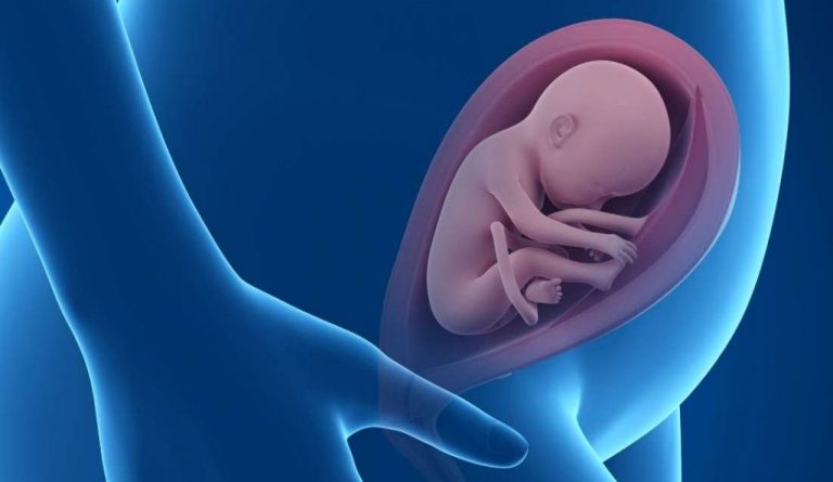 CentoNIPT: Лучший способ исключить хромосомные аномалии у будущего ребенка