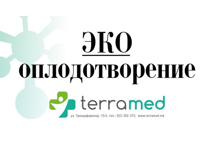 TerraMed: ЭКО оплодотворение