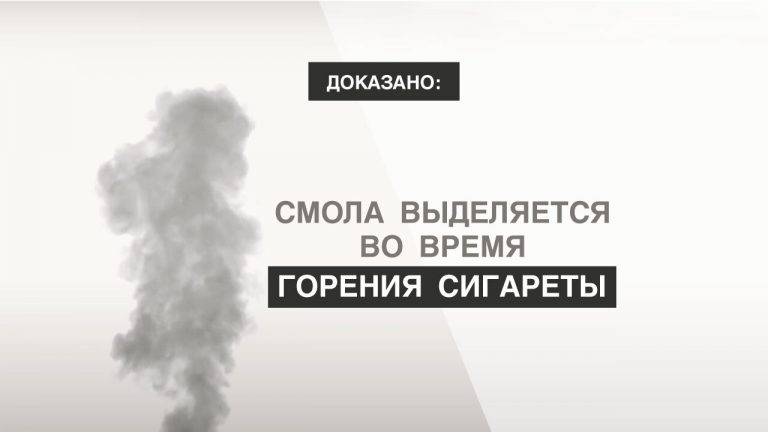 Смола опаснее никотина. Через сколько лет «очищаются» легкие курильщика?